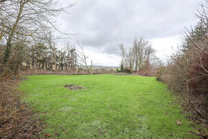 Photo 19- click for photo gallery